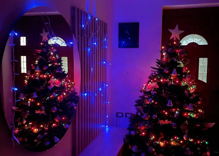 Enea 게스트하우스